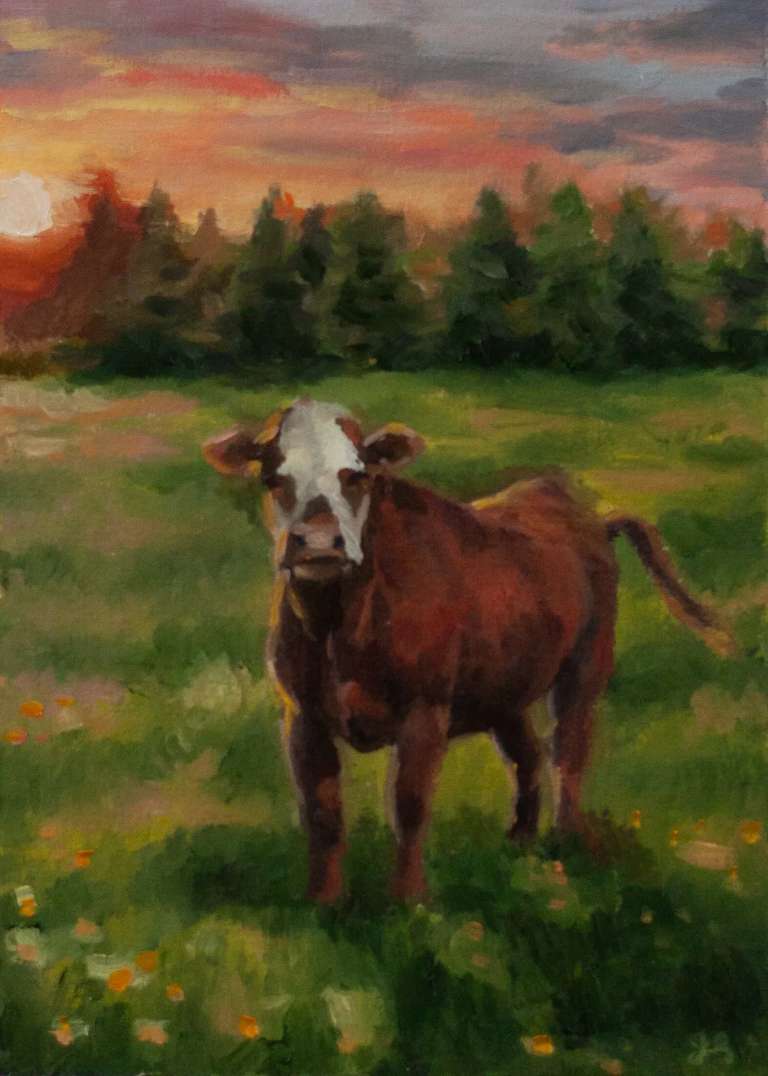 Cow on Hoover, 2026